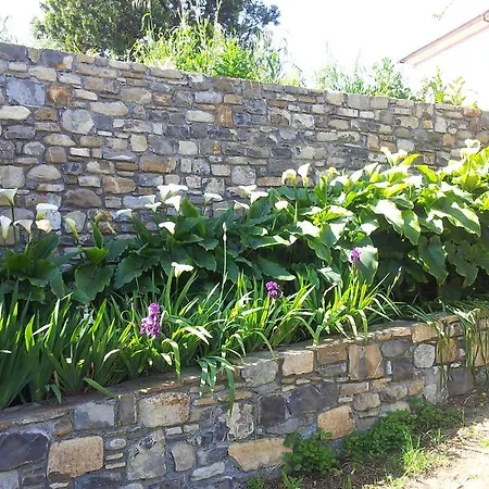 Il Poggio Di Poiolo Daire *