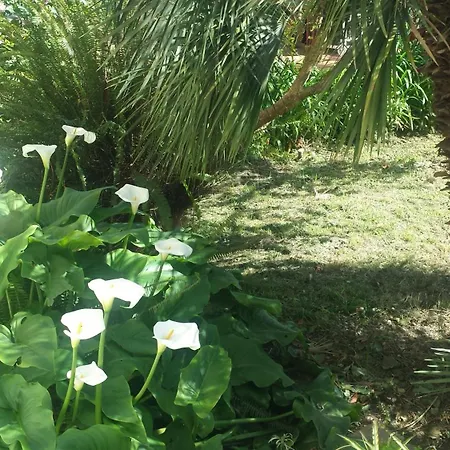 Daire Il Poggio Di Poiolo