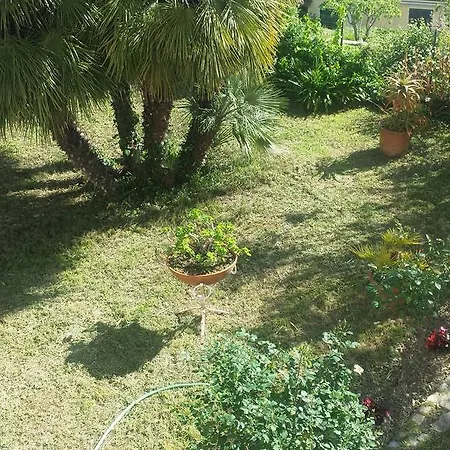 Il Poggio Di Poiolo